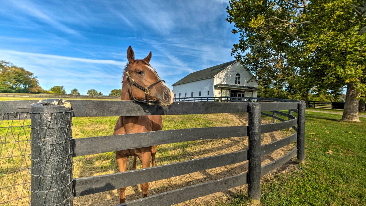 Photo of Outdoor in Lexington