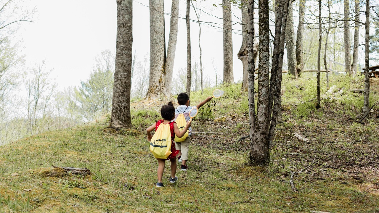 Photo of Others in Roan Mountain