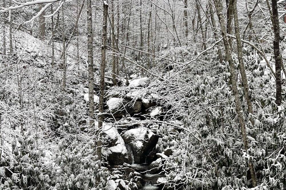 Photo of Others in Cattail Creek