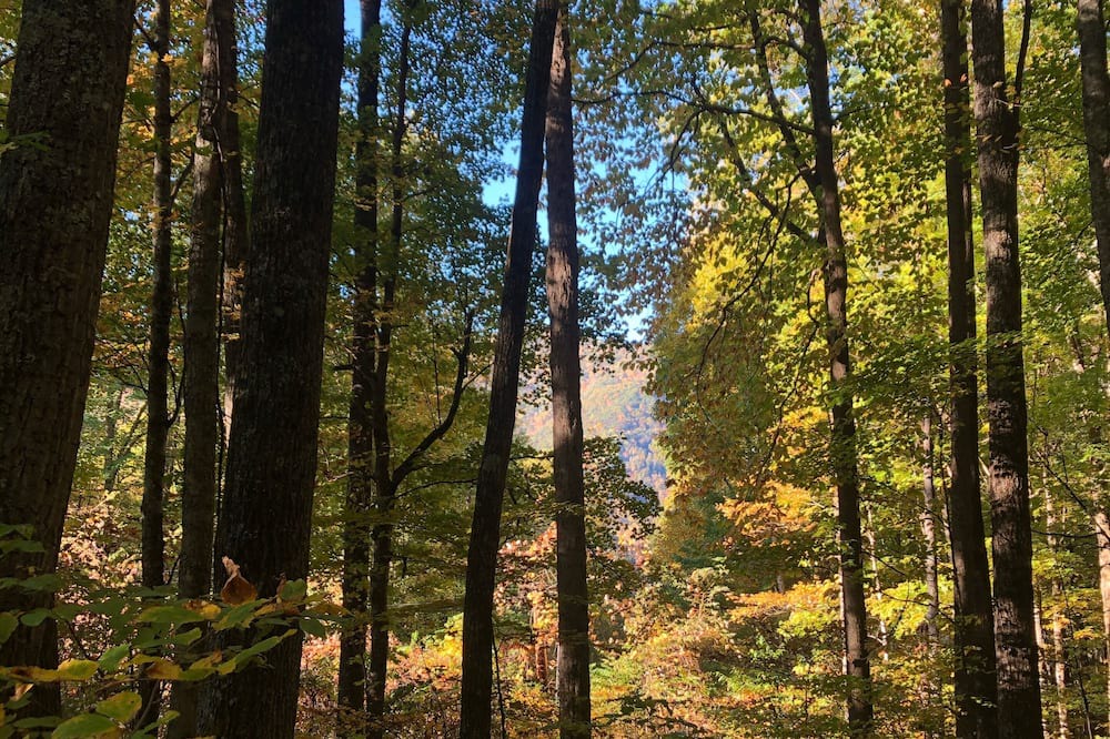Photo of Outdoor in Cattail Creek