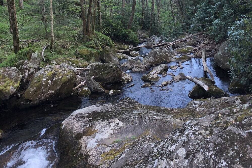 Photo of Outdoor in Cattail Creek