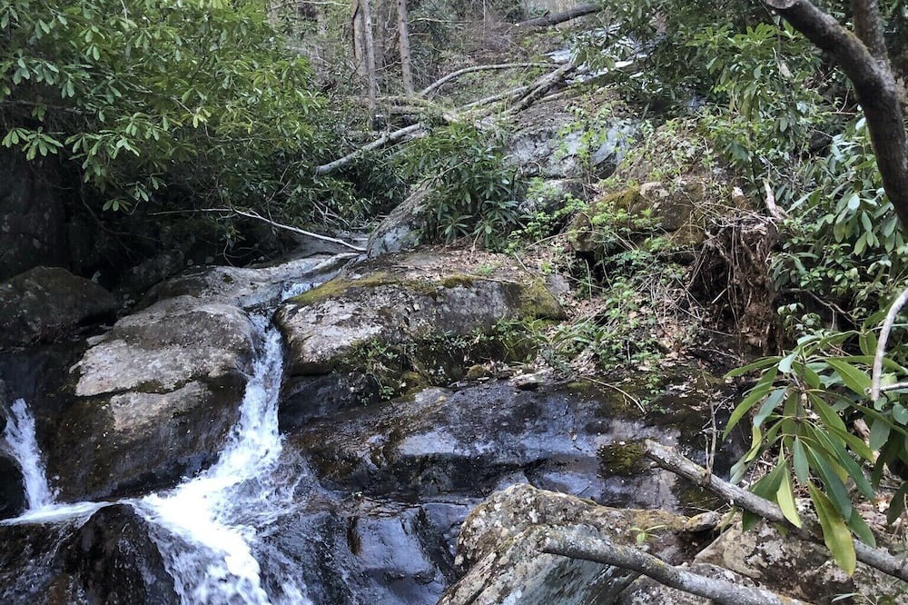 Photo of Outdoor in Cattail Creek