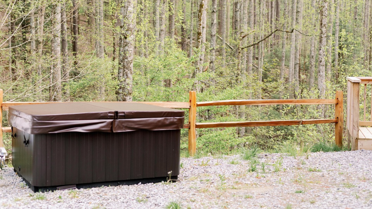 Photo of Outdoor in Roan Mountain