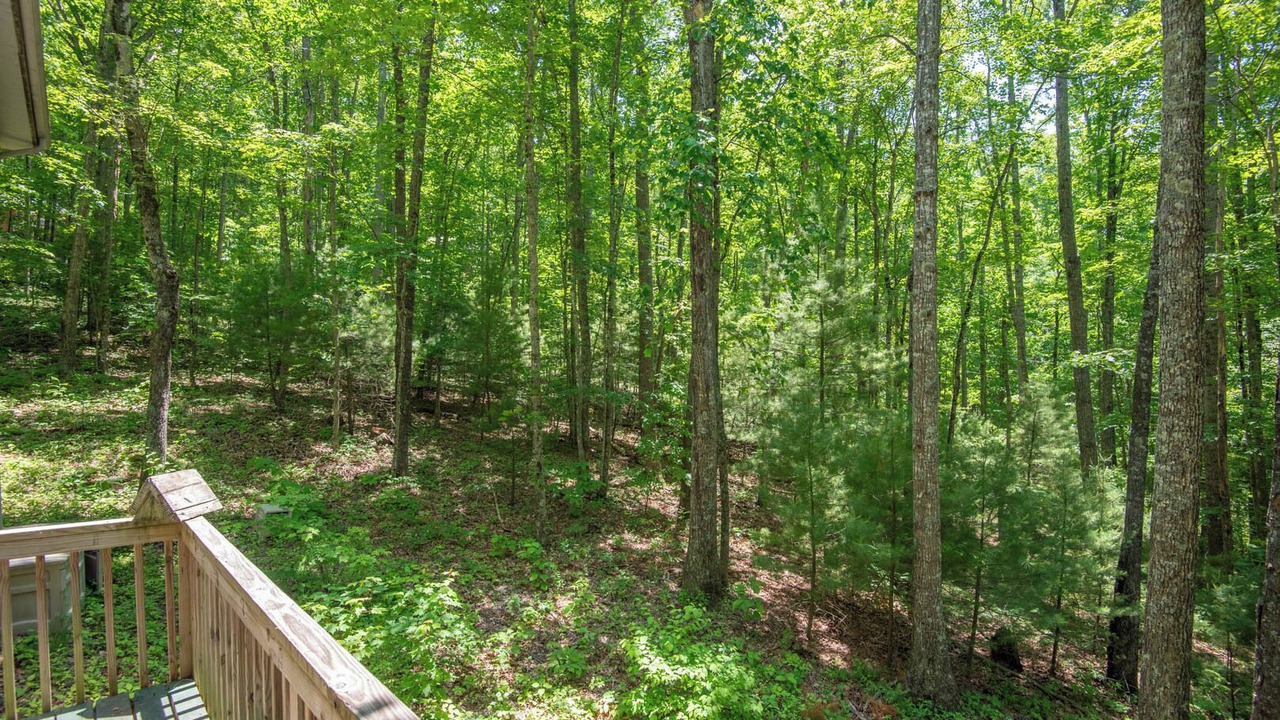 Photo of Outdoor in Shatley Springs