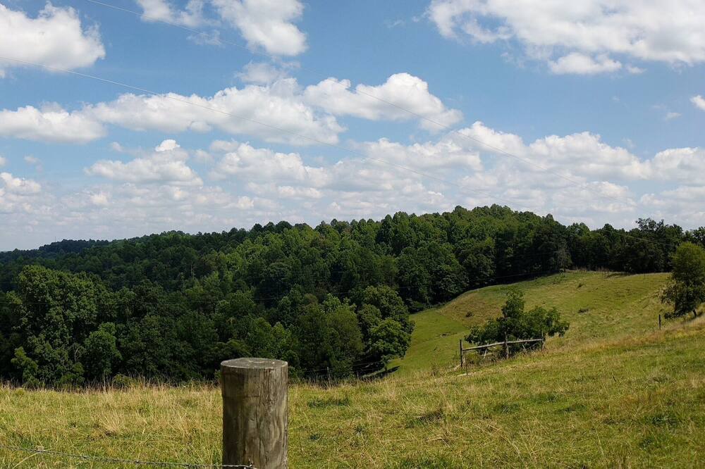 Photo of Others in Gandeeville