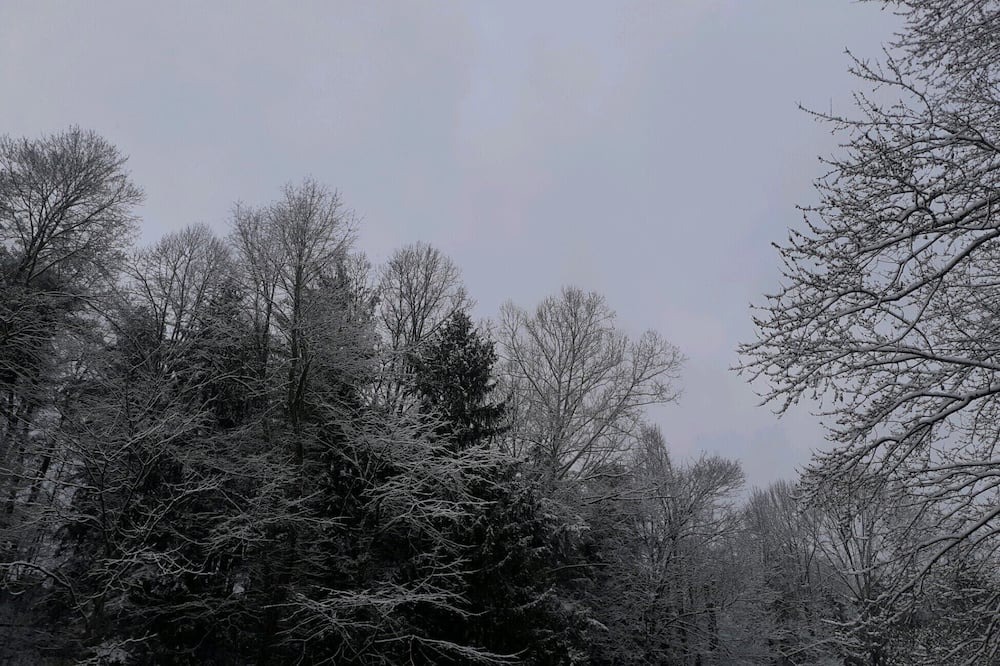 Photo of Others in Gandeeville