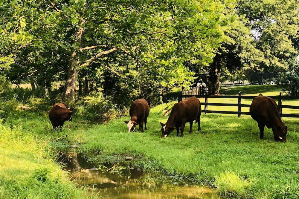 Photo of Outdoor in Keedysville
