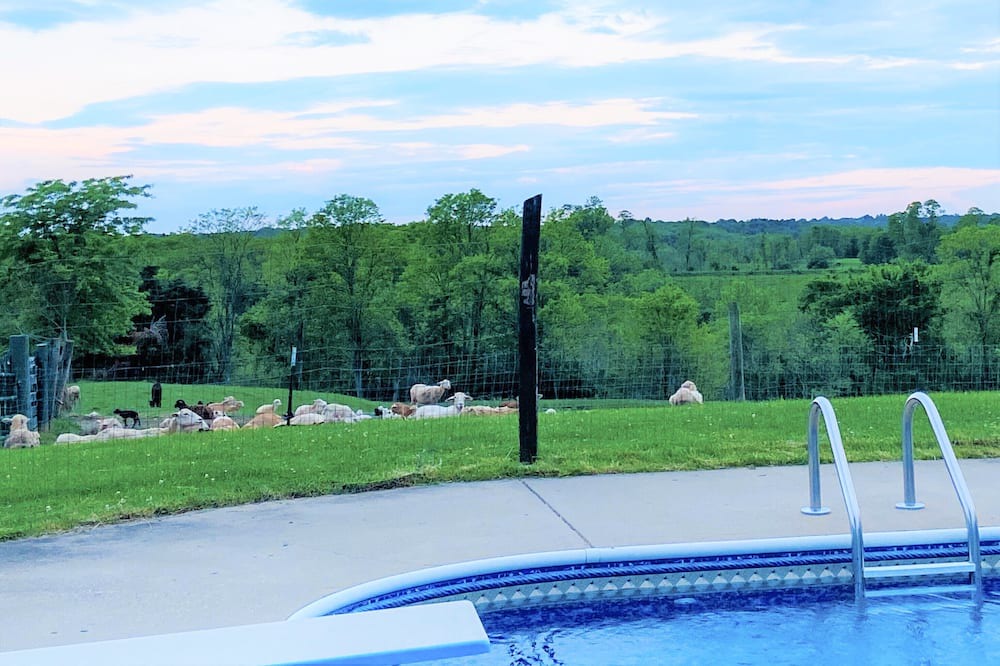 Photo of Outdoor in Morning View