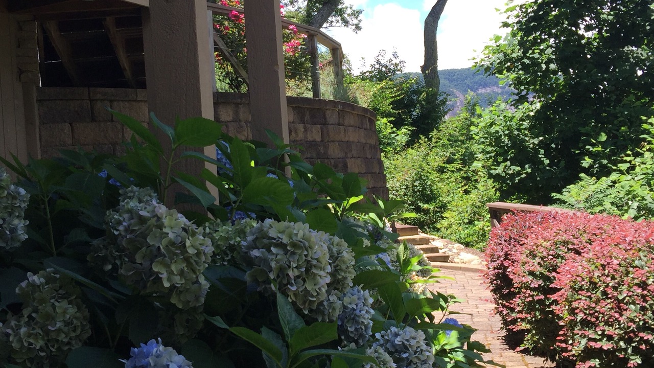 Photo of Outdoor in Lake Lure
