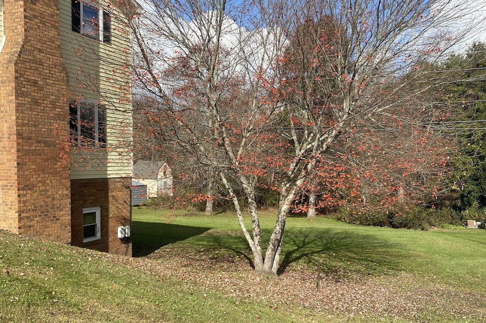 Photo of Outdoor in Glendale Springs