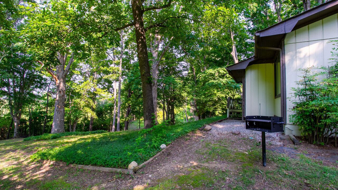 Photo of Outdoor in Baneberry