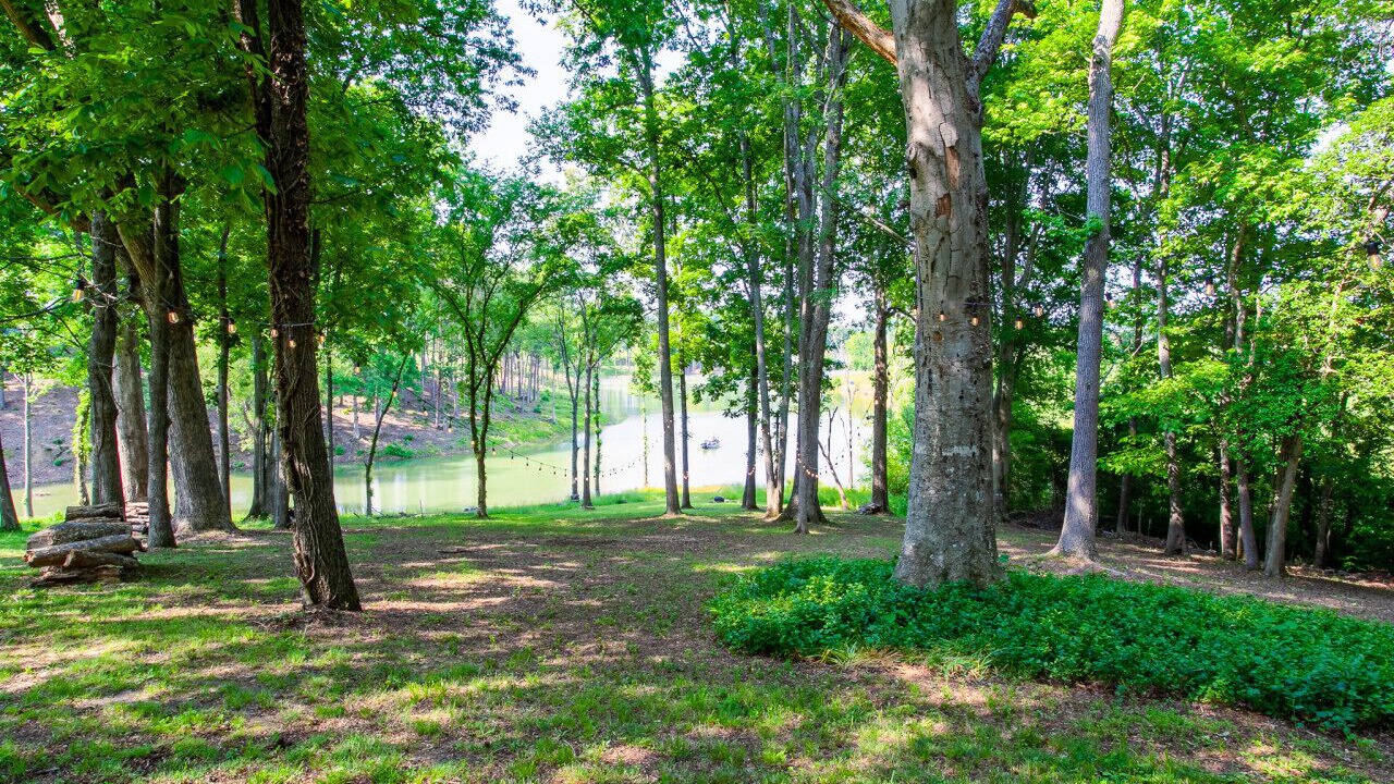 Photo of Outdoor in Baneberry