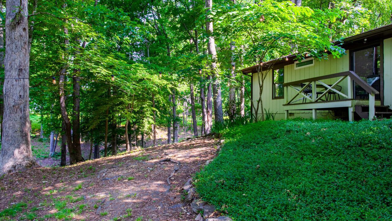 Photo of Outdoor in Baneberry