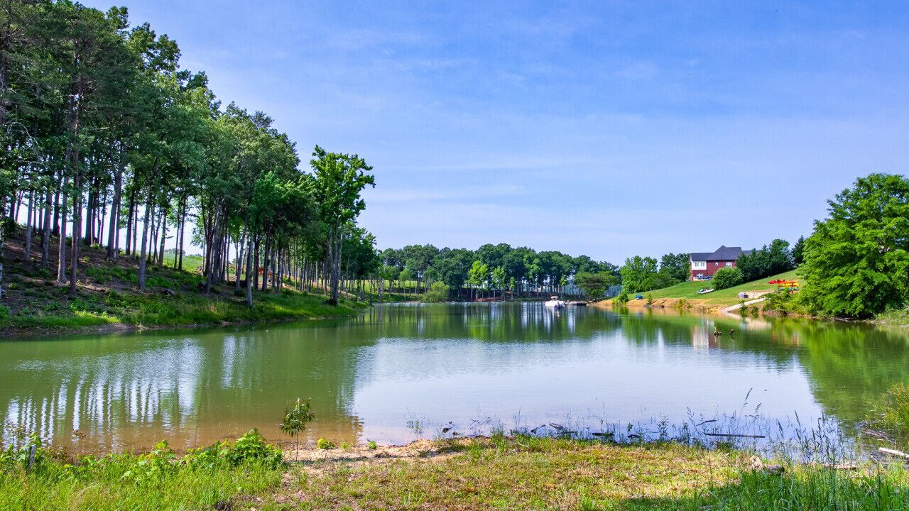 Photo of Outdoor in Baneberry