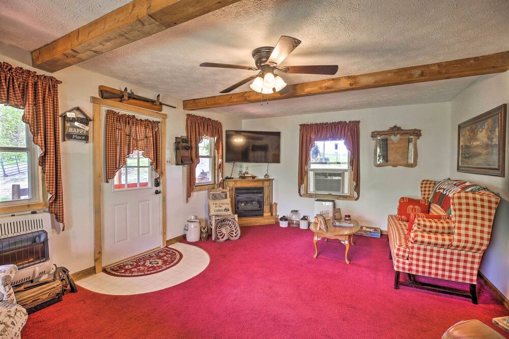 Photo of Livingroom in Wellington