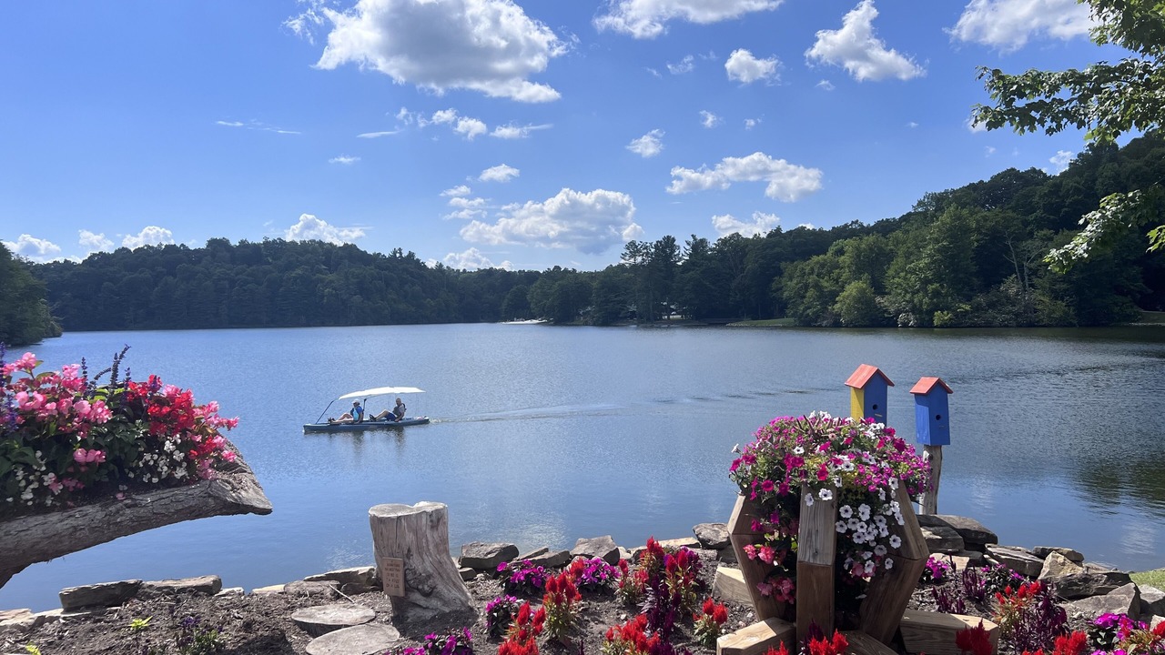 Photo of Outdoor in Newland