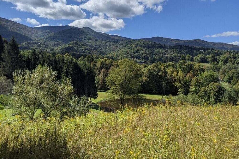 Photo of Others in Roan Mountain