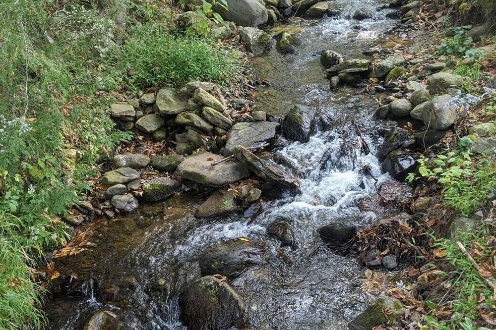 Photo of Others in Roan Mountain