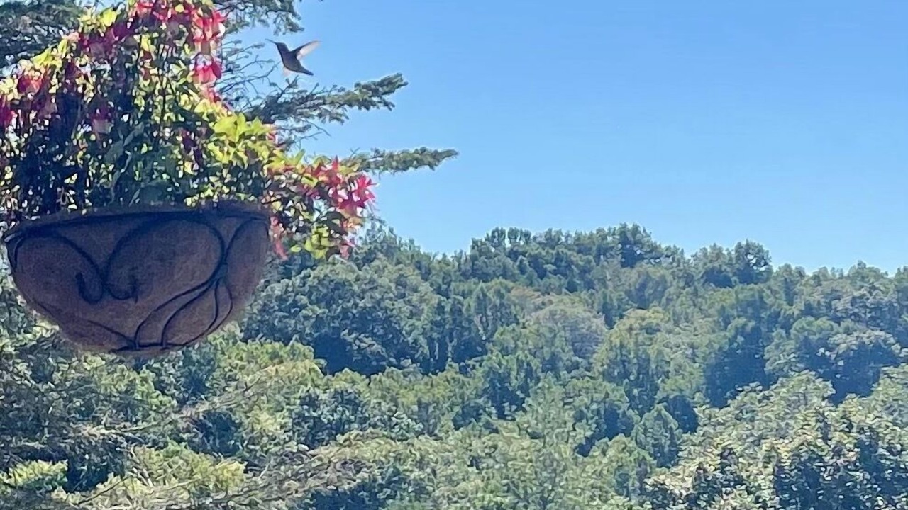 Photo of Outdoor in Piney Creek