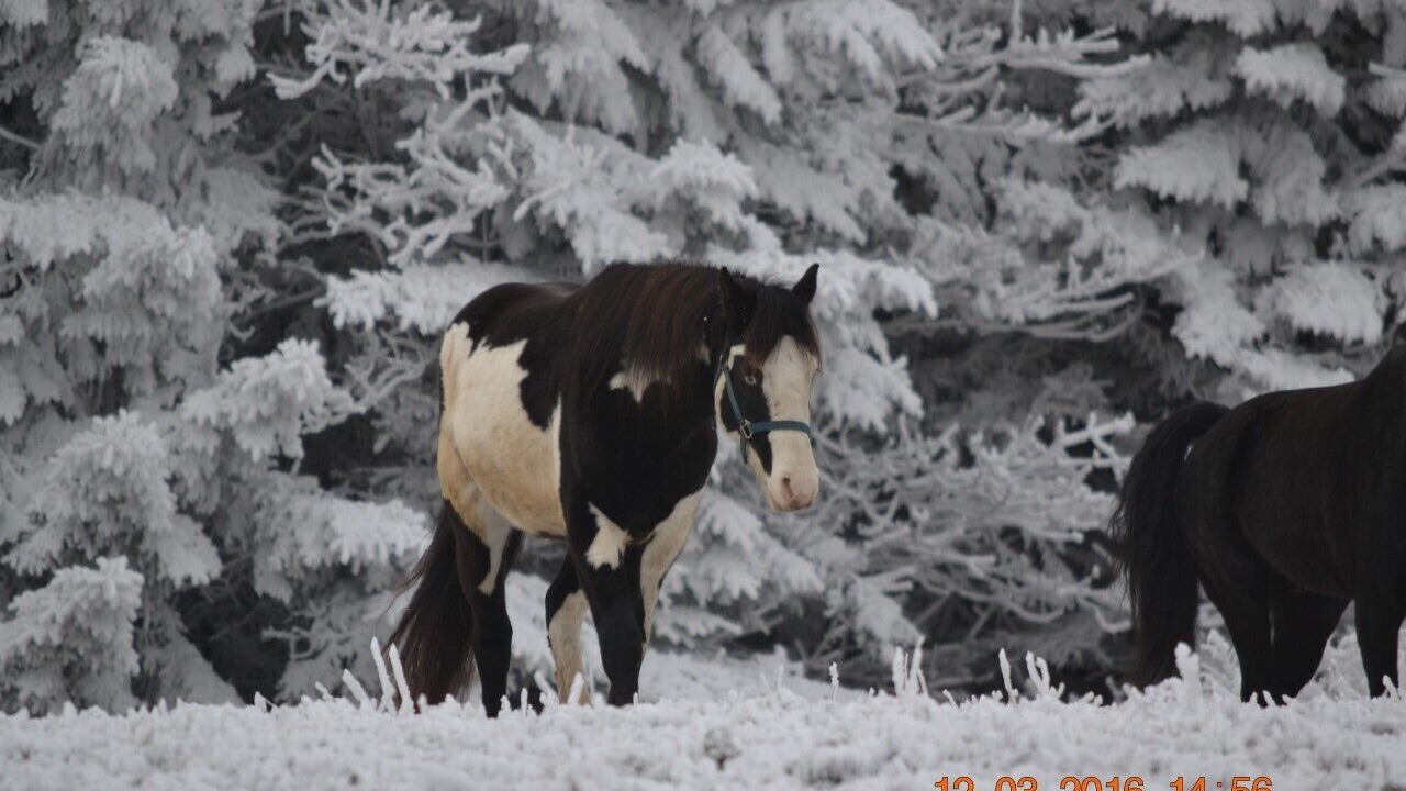 Photo of Outdoor in Edray