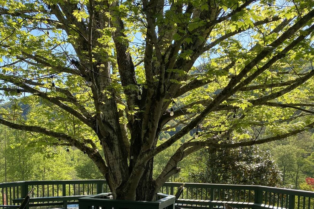 Photo of Patio Balcony in Barnardsville