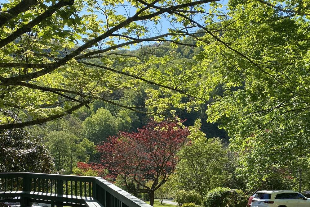 Photo of Patio Balcony in Barnardsville
