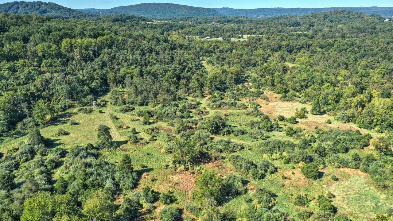 Photo of Outdoor in Fairfield