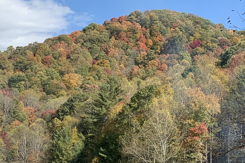 Photo of Others in Bakersville