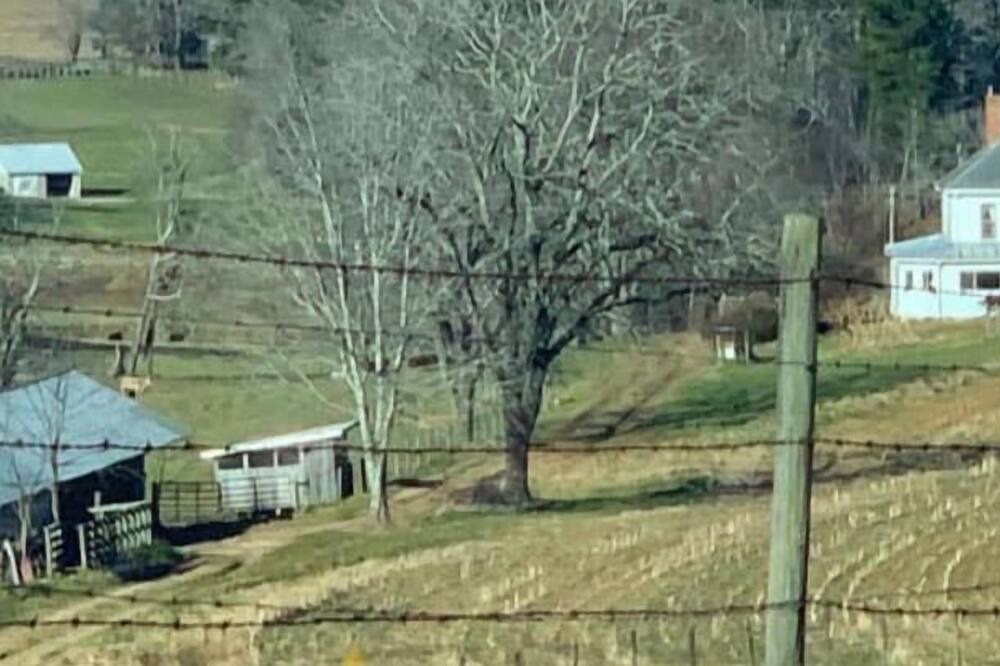 Photo of Outdoor in Piney Creek