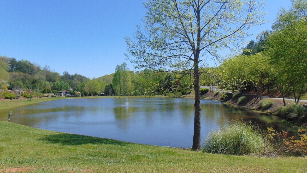 Photo of Outdoor in Lake Lure