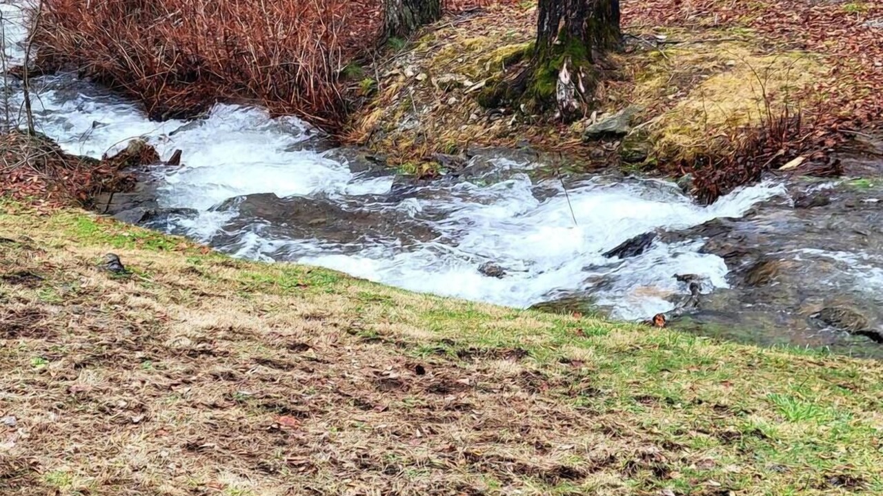 Photo of Others in Maggie Valley