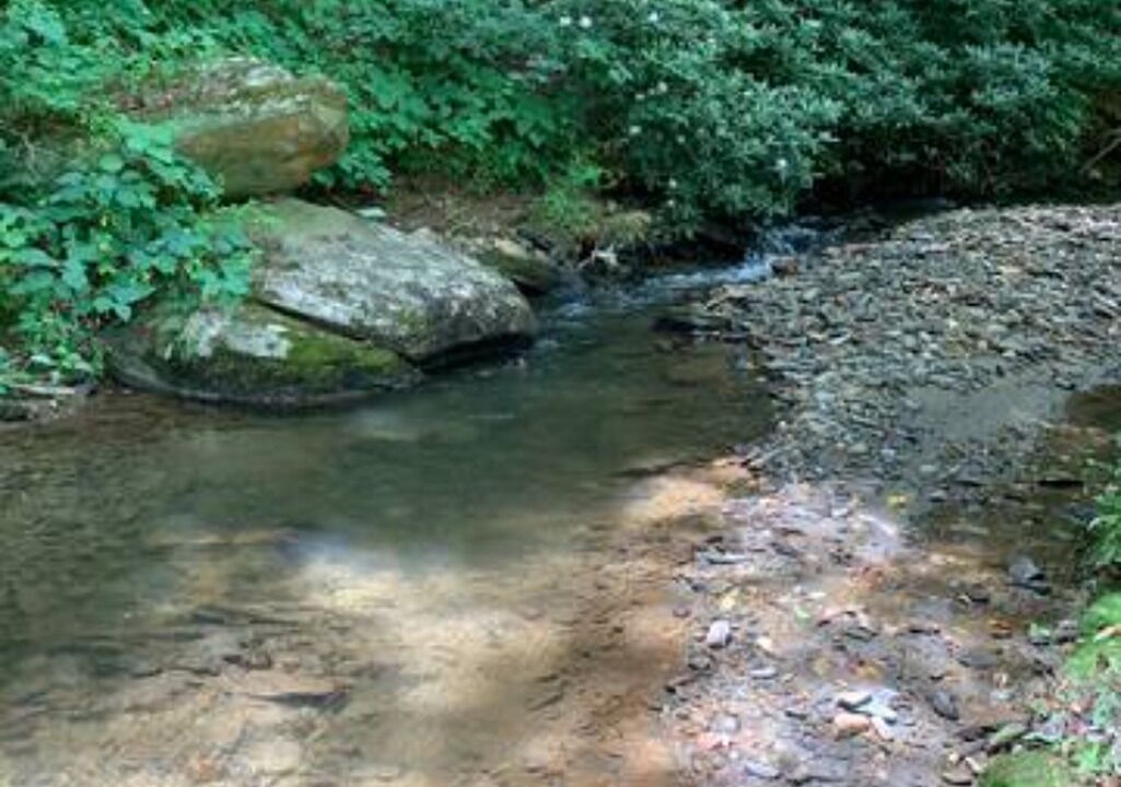 Photo of Others in Boone