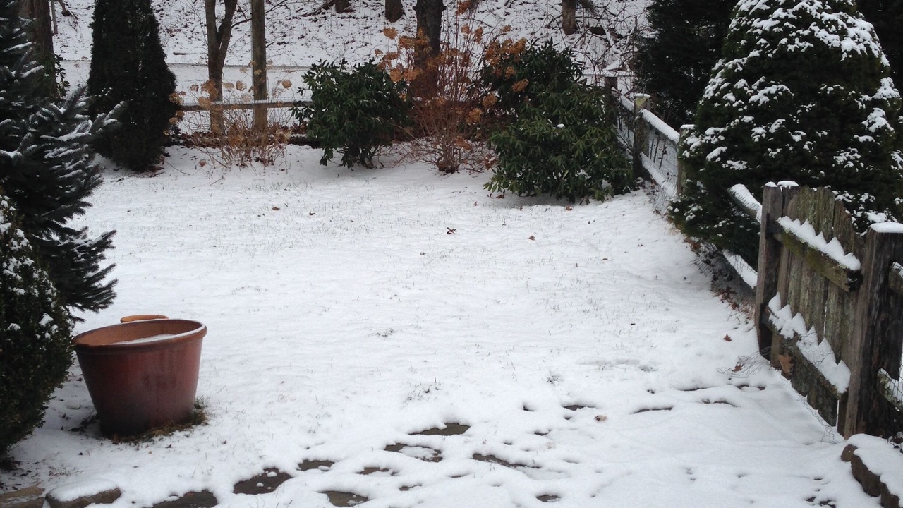 Photo of Outdoor in Boone