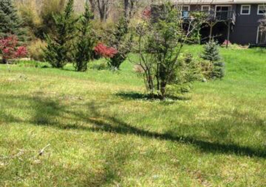 Photo of Outdoor in Boone