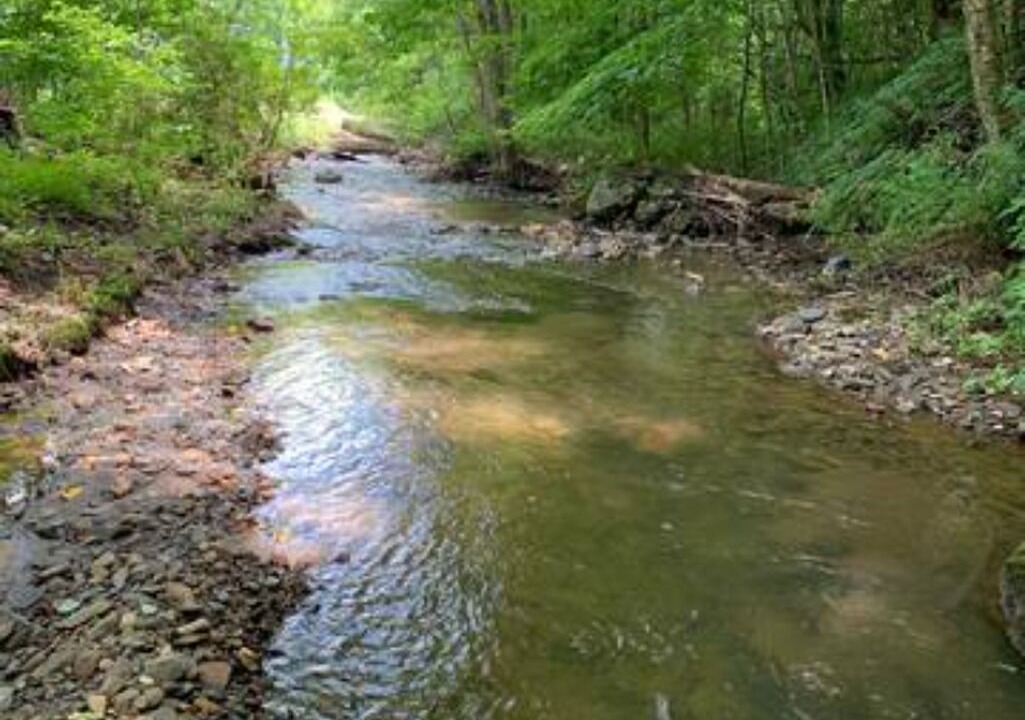 Photo of Others in Boone