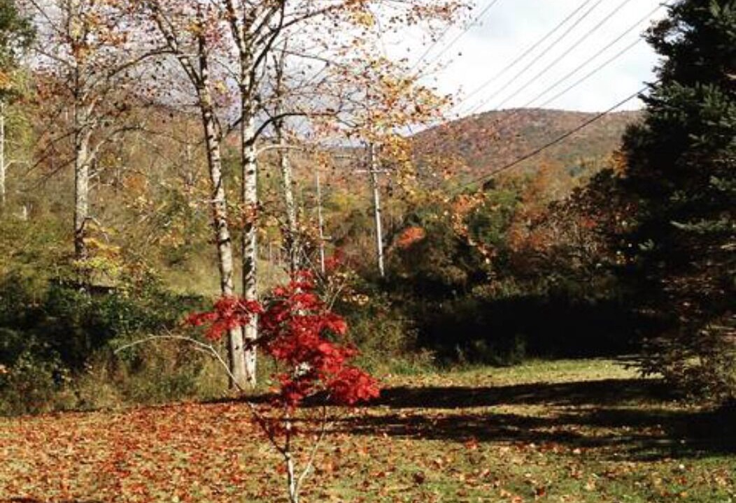 Photo of Outdoor in Boone