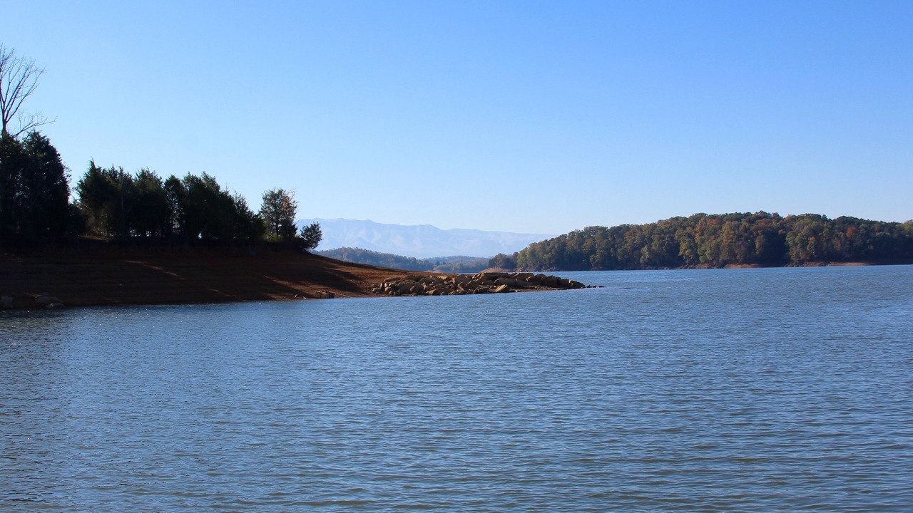 Photo of Others in Baneberry