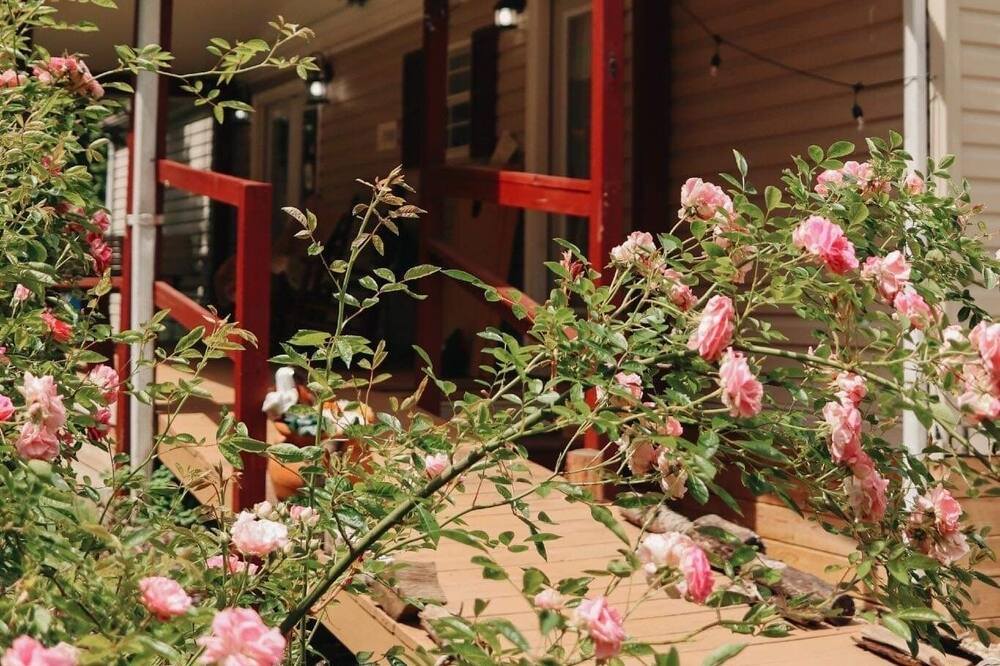 Photo of Outdoor in Pittman Center