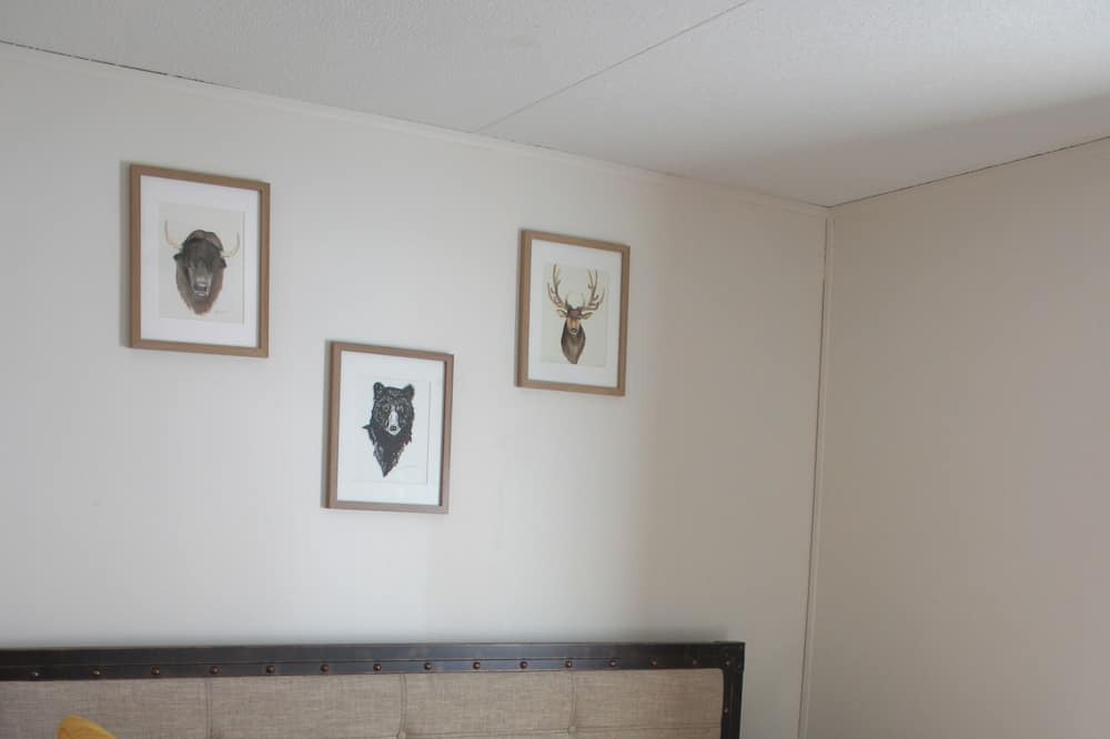 Photo of Bedroom in Pittman Center