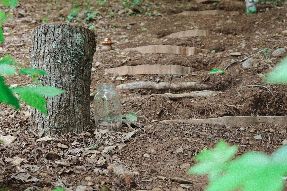 Photo of Outdoor in Pittman Center