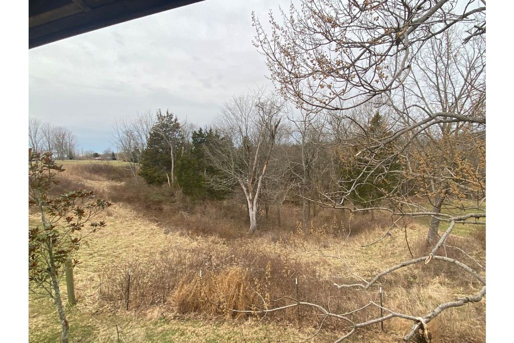 Photo of Outdoor in Turners Station