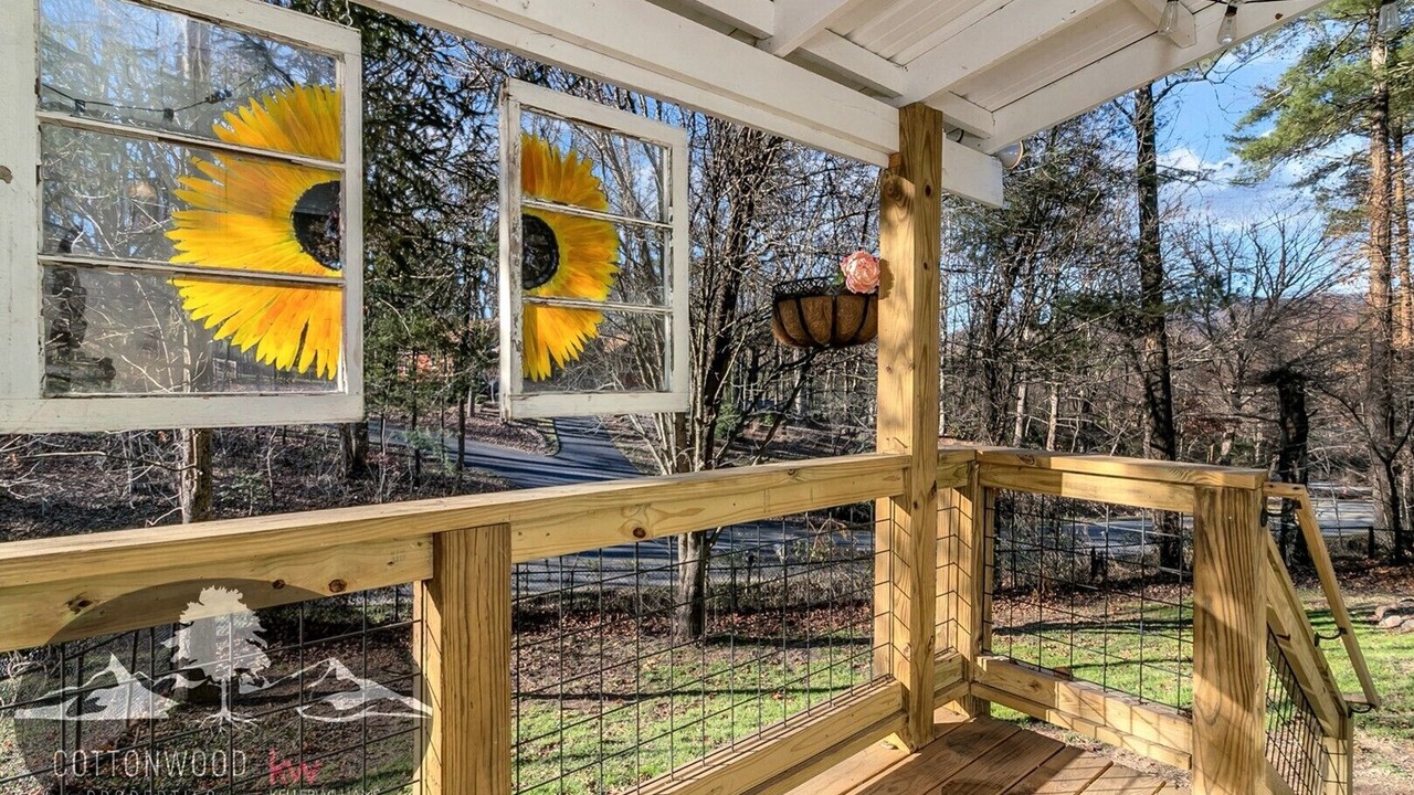 Photo of Outdoor in Swannanoa