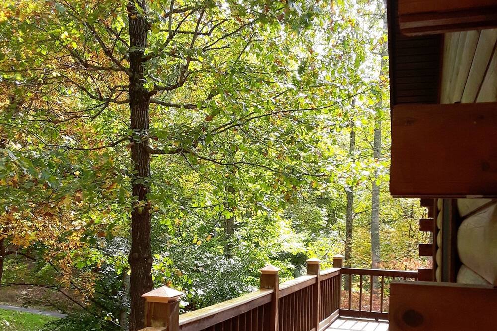 Photo of Others in Unicoi