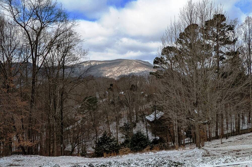 Photo of Others in Unicoi