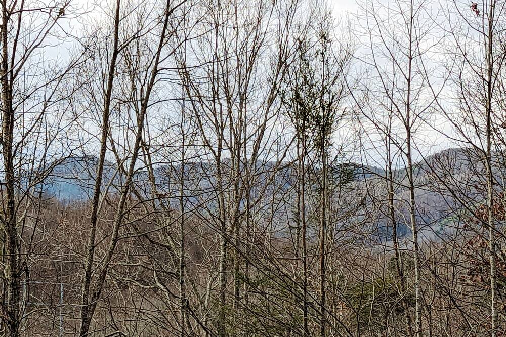 Photo of Others in Unicoi
