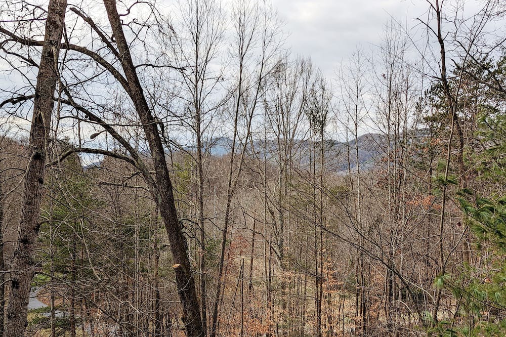 Photo of Others in Unicoi