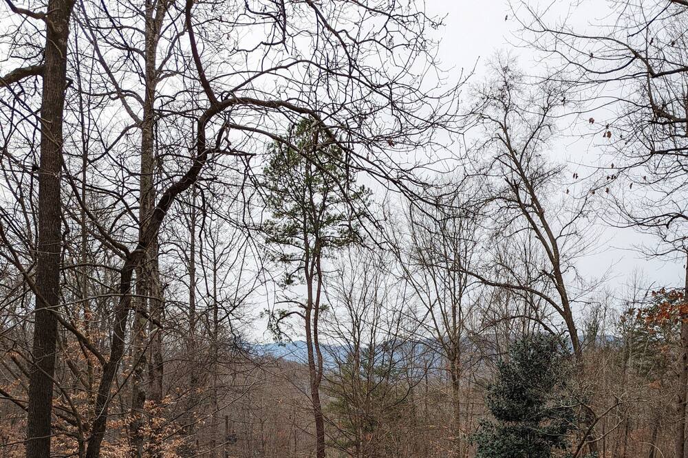 Photo of Others in Unicoi
