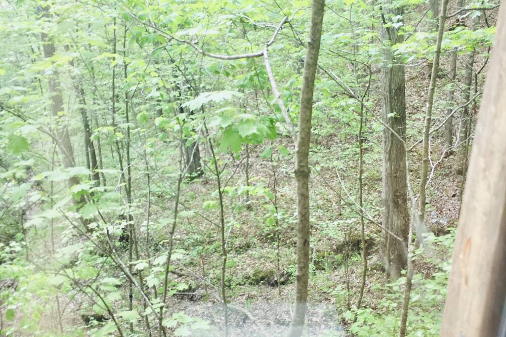 Photo of Outdoor in Stanton