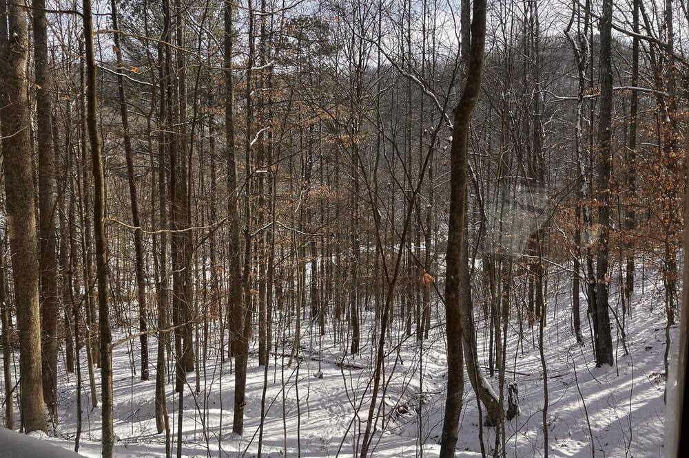 Photo of Outdoor in Stanton