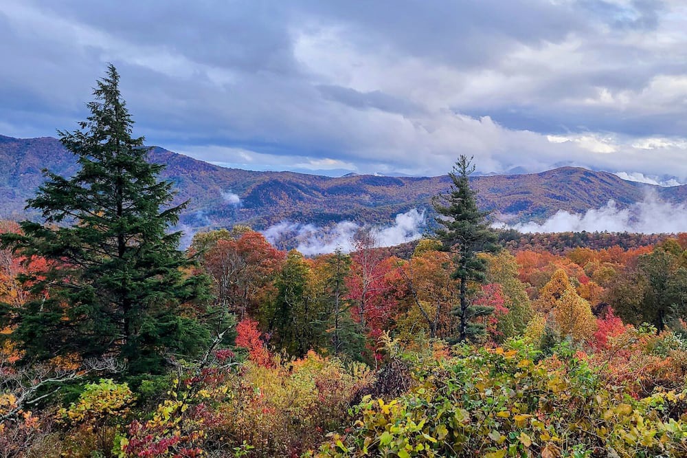 Photo of Outdoor in Bear Den